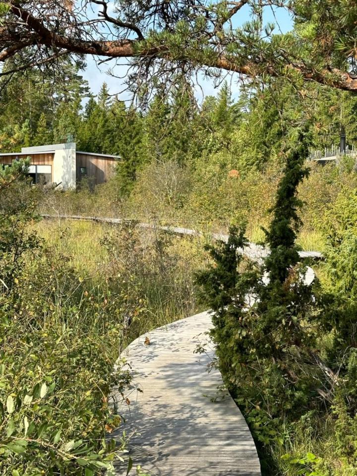 Maven Kustnaera Stugor Kappelshamn المظهر الخارجي الصورة